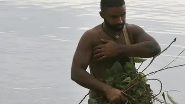 Retour à l'instinct primaire L'île aux larmes