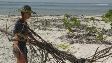 Retour à l'instinct primaire L'île de l'enfer
