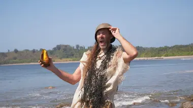 Contre vents, marées et sangliers