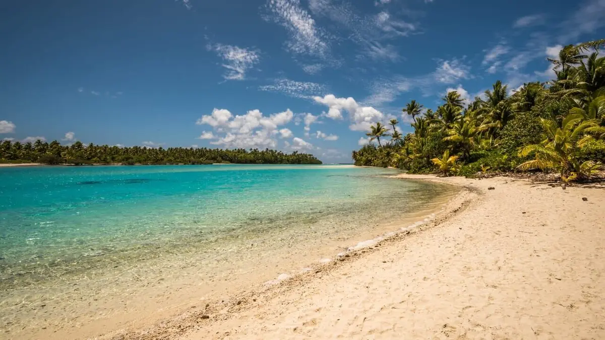 Retour à l'instinct primaire : les naufragés Sa majesté des mouches des sables