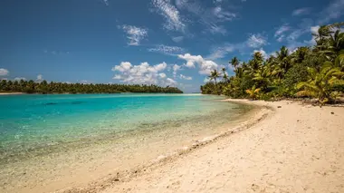 Sa majesté des mouches des sables