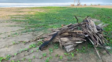 Le retour du tueur à mains nues