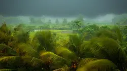 Retour à l'instinct primaire : Restons groupés Triple menace