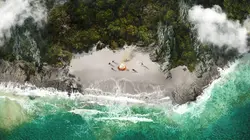 Retour à l'instinct primaire : Restons groupés Terrain d'essai