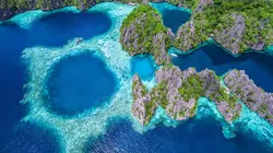 Retour à l'instinct primaire : Restons groupés A l'eau