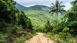 Retour à l'instinct primaire : Restons groupés Tempêtes tropicales