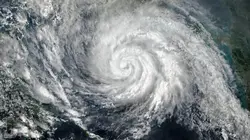 Retour à l'instinct primaire : Restons groupés Tempêtes tropicales