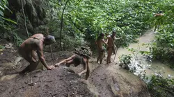 Retour à l'instinct primaire : Restons groupés Plongée en enfer