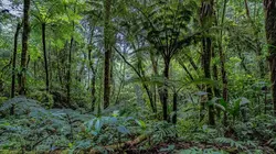 Naked and Afraid S01E07 Effondrement