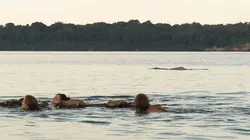 Retour à l'instinct primaire : Restons groupés Tensions