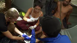 Retour à l'instinct primaire : Restons groupés Retour de flamme