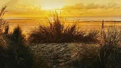 Retour à l'instinct primaire : Restons groupés C'est le pied