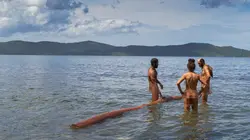 Retour à l'instinct primaire : Restons groupés La faiblesse n'a pas sa place