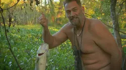 Retour à l'instinct primaire : Restons groupés Alliga-terrible en streaming