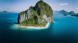 Retour à l'instinct primaire : Restons groupés A l'eau