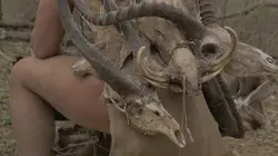 Retour à l'instinct primaire : Restons groupés En pleine chasse