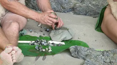 Retour à l'instinct primaire S05E20 L'île aux requins
