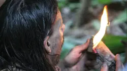 Retour à l'instinct primaire : seul au monde Chassée et égarée