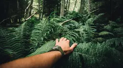 Retour à l'instinct primaire : seul au monde