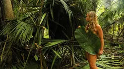 Retour à l'instinct primaire : seul au monde