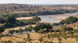 Retour à l'instinct primaire : seul au monde Tout nu et perdu