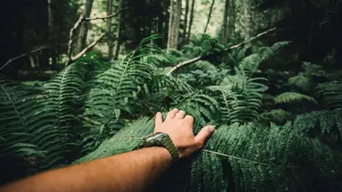 Retour à l'instinct primaire Survivalistes savants