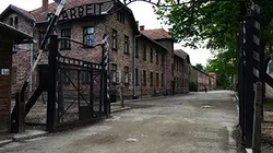 Visuel de Retour à la vie : 70 ans après la libération des camps