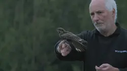 Retour à la vie sauvage S01E07 Le pygargue à queue blanche