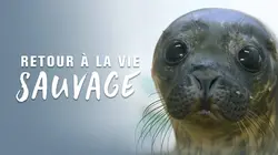 Retour à la vie sauvage S01E05 Les chevreuils