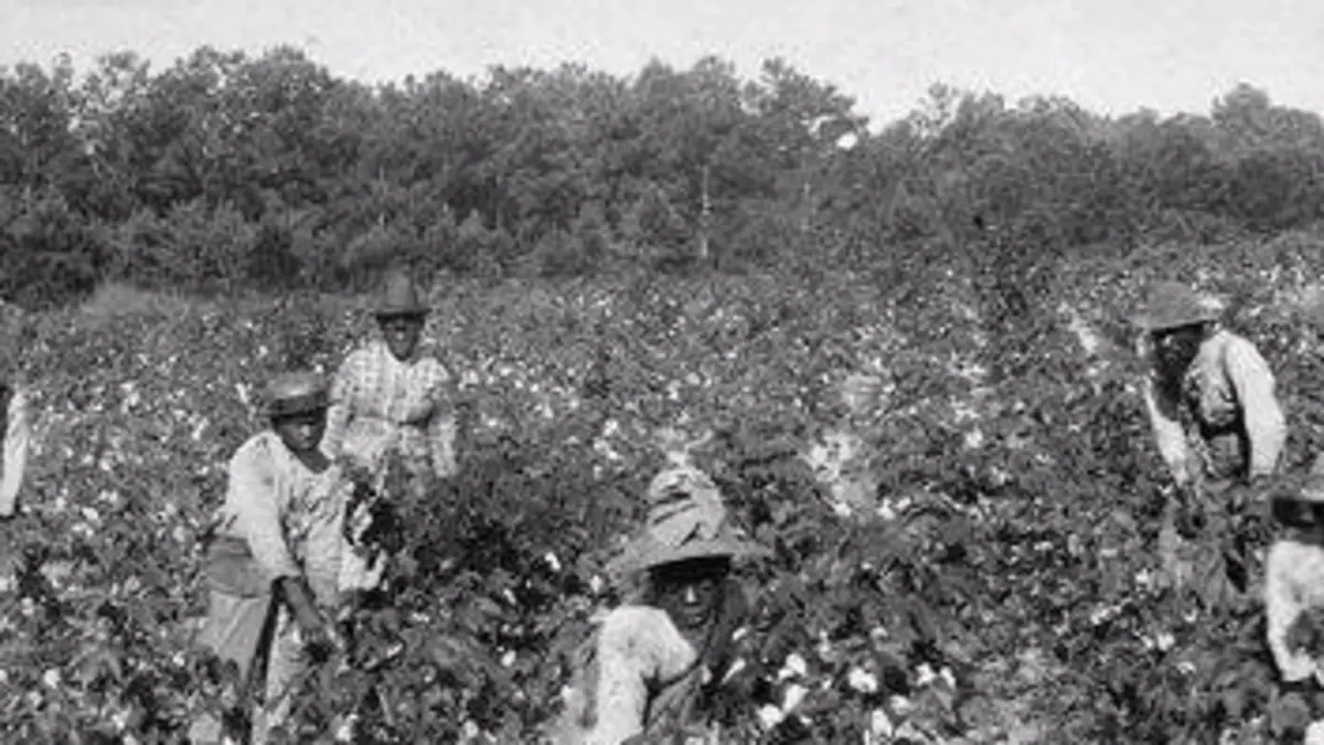 Retour aux sources Ku Klux Klan, une histoire américaine : naissance d'un empire invisible