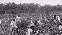 Retour aux sources Ku Klux Klan, une histoire américaine : naissance d'un empire invisible