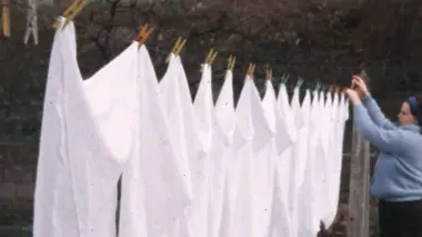 L'histoire oubliée des femmes au foyer