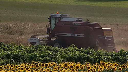 Retour en terre saine