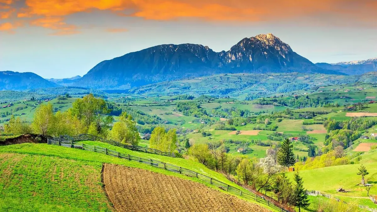 Retour en Transylvanie des Roumano-Allemands