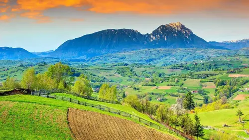 Retour en Transylvanie des Roumano-Allemands