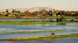 Retour sur les berges du Nil Trésors enfouis
