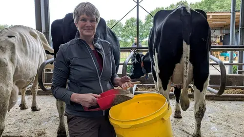 Retraite au vert : Vivre ses vieux jours à la ferme