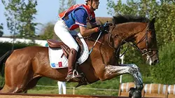 Visuel de Rétro Sports