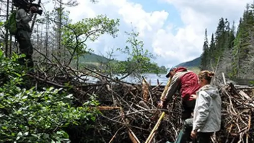 Retrouvez la nature Canada