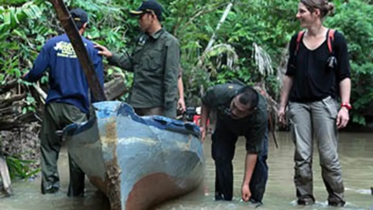Retrouvez la nature Indonésie