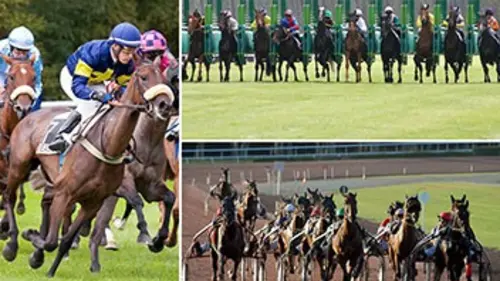 Réunion d'Agen (trot)