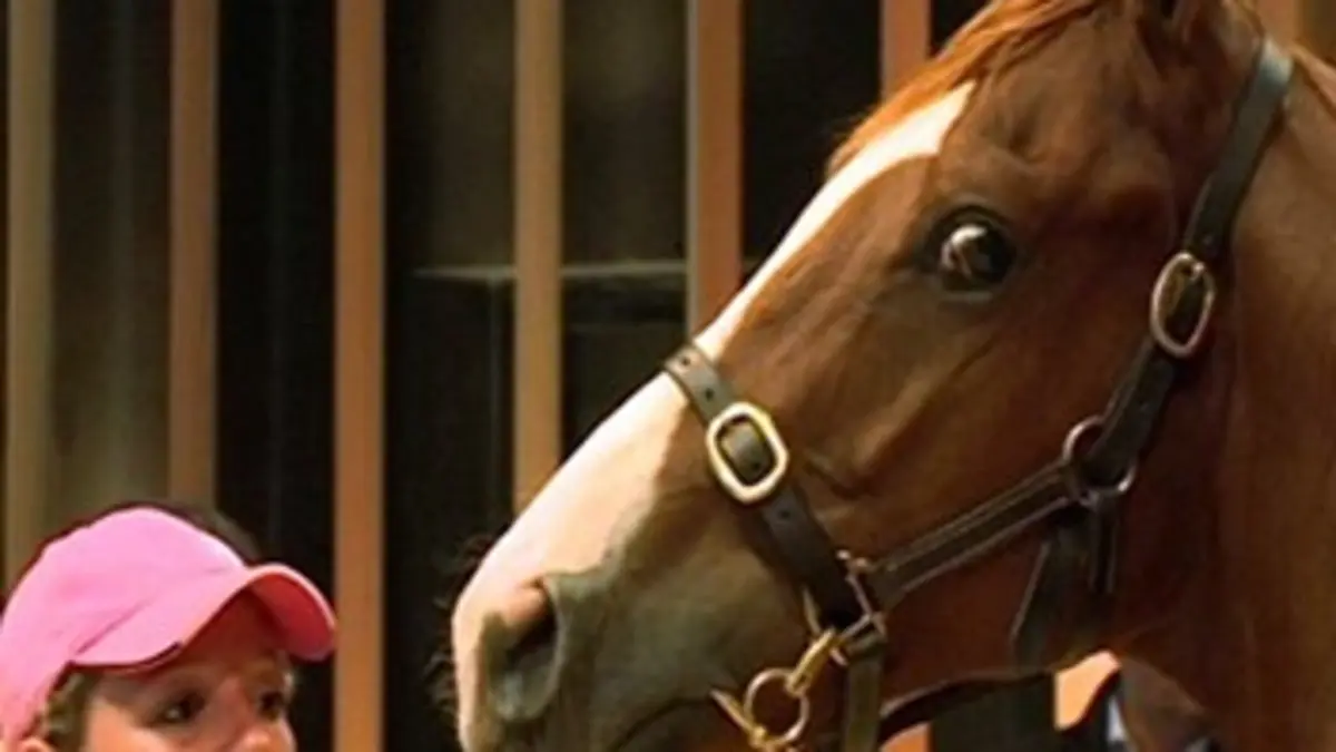 Rêve de propriétaire