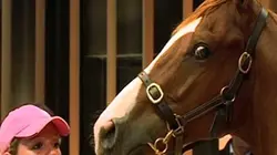 Sur Equidia à 21h30 : Rêve de propriétaire