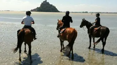 A cheval sur les prés salés