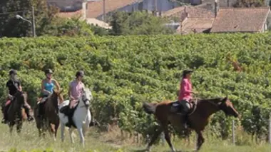 Le Médoc, une pointe de liberté