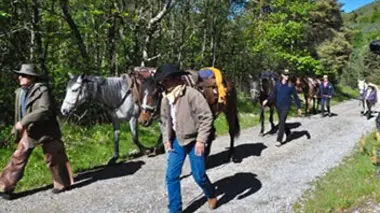 Des artistes au sommet