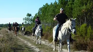 L'automnale des Landes