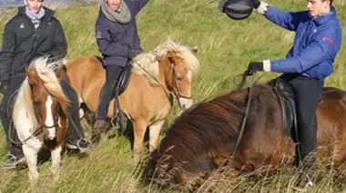 Les trois mousquetaires en Islande
