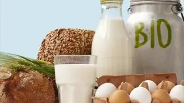 Le bio : enquête sur une tendance