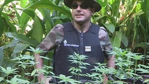 Révélations Tahiti, la face cachée du paradis